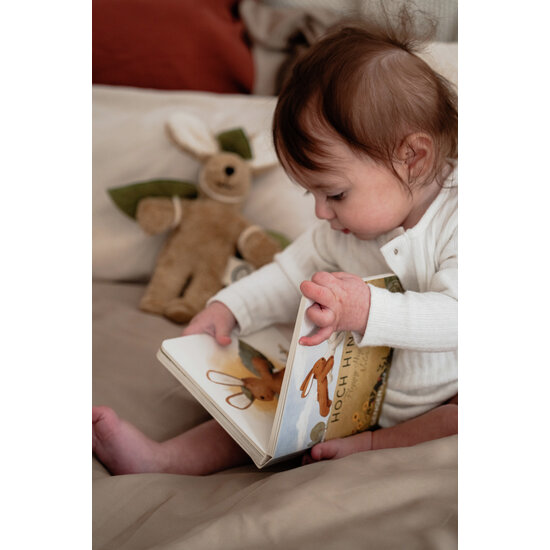 Senger Naturwelt Senger Naturwelt | Boek Senger Narrates Flying High