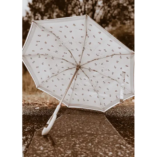 Mrs Ertha Mrs Ertha | New Brellie's Parapluie Flower buds