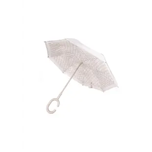 Mrs Ertha | New Brellie's Parapluie Flower buds