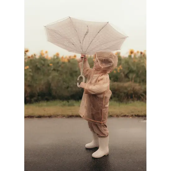 Mrs Ertha Mrs Ertha | New Brellie's Parapluie Flower buds