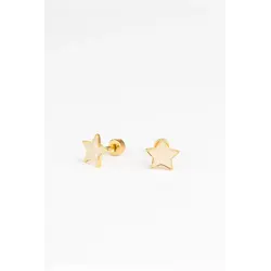 Mrs Ertha | Studs Earrings Twinkle Star