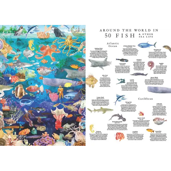 New Mags New Mags | Puzzle „Rund um die Welt in 50 Fischen“ 1000 Teile