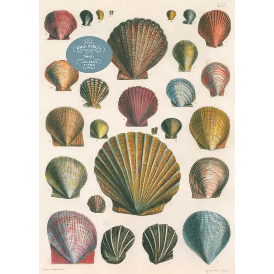 New Mags New Mags | Jigsaw Puzzle Shells John Derian 1000 Piece