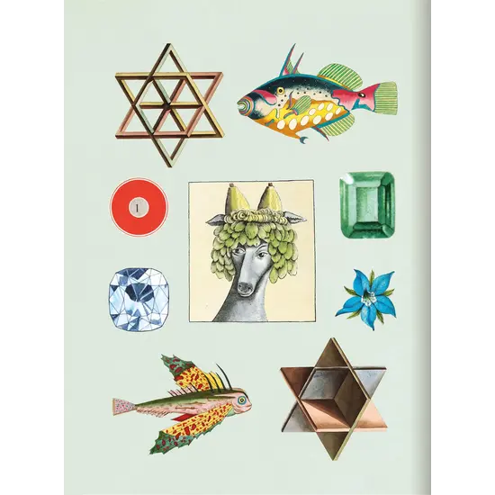 New Mags New Mags | Das antiquarische Stickeralbum Bibliophilie