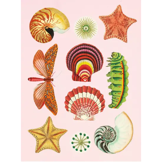 New Mags New Mags | Das antiquarische Stickeralbum