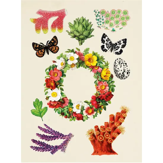 New Mags New Mags | The Antiquarian Sticker Book