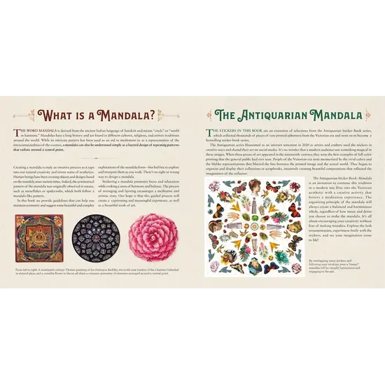 New Mags New Mags | Het Antieke Stickerboek Mandala