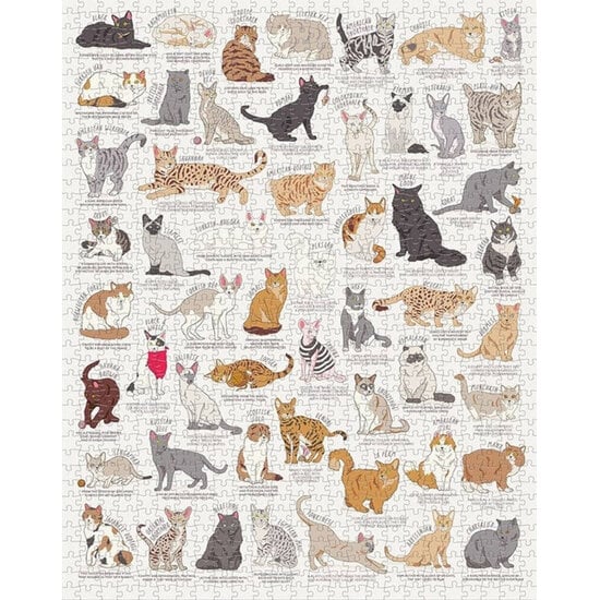 New Mags New Mags | Puzzle 1000 pièces pour les amoureux des chats