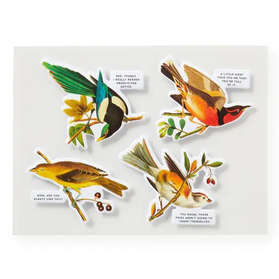 New Mags New Mags | Jigsaw Puzzle Salty Birds 1000 Piece