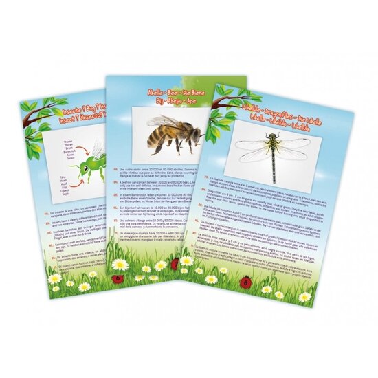 Buki Buki | Bug Vacuum