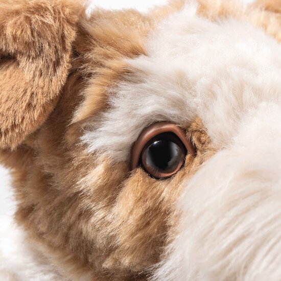 Steiff Steiff | Foxy Fox Terrier 32 cm Multicoloured