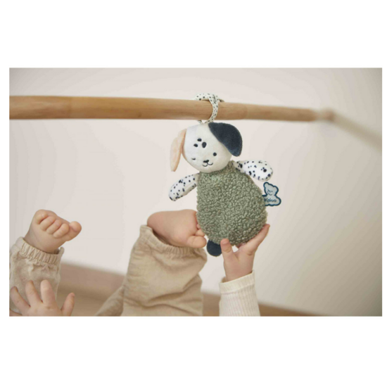 Kaloo Kaloo | Set of 3 Sensory puppy soft toys for babies