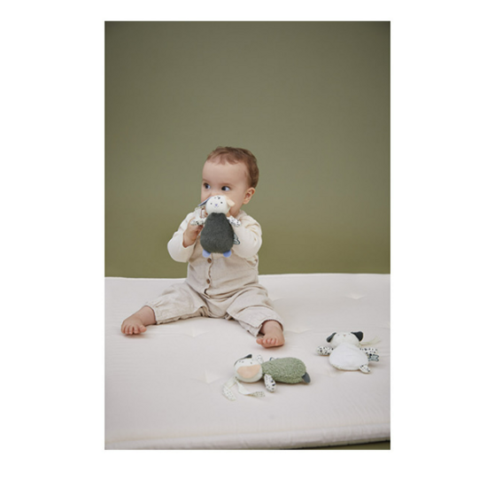 Kaloo Kaloo | 3er-Set sensorische Welpen-Stofftiere für Babys