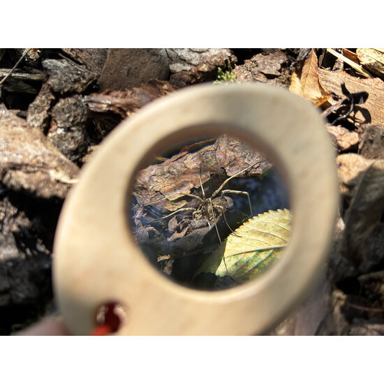 Haba Haba | Terra Kids Allround Trio