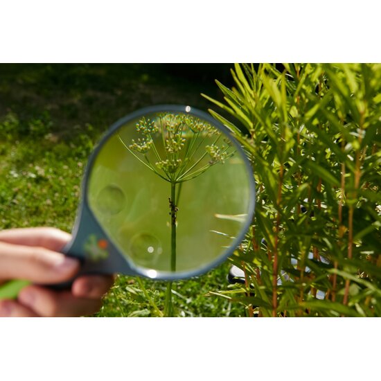 Haba Haba | Terra Kids Kinderlupe