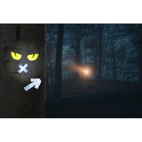 Haba Haba | Terra Kids Mini-zaklamp Met Stickers