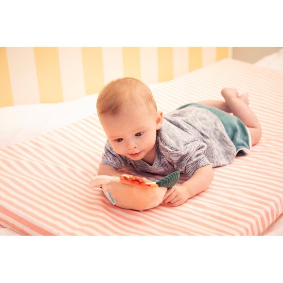 Lilliputiens Lilliputiens | Jack Mirror