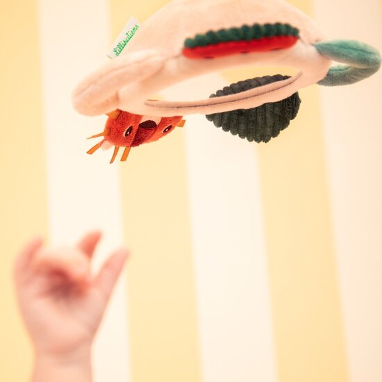 Lilliputiens Lilliputiens | Jack Spiegel