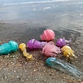 Safari Ltd Safari Ltd. | Glow-in-the-dark jellyfish toy figures