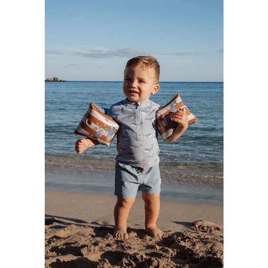 Little Dutch Little Dutch | Brassards Ocean World