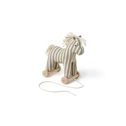 Kid's Concept | Aiden Trekpaard Sam