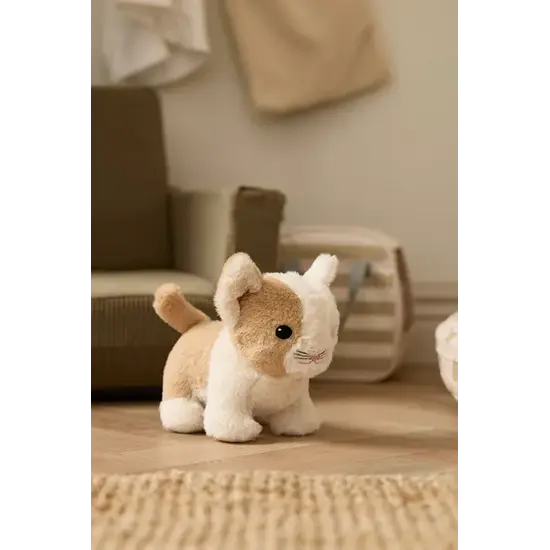 Kid's Concept Kid's Concept | Kid's Hub – Katze und Tragetasche