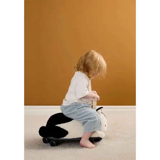 Kid's Concept Kid's Concept | Aiden Ride Along Sture De Kat