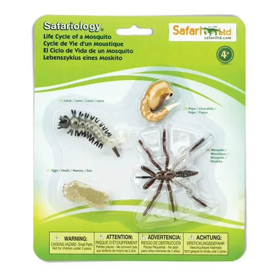 Safari Ltd Safari Ltd. | The Life Cycle of a Mosquito