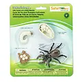 Safari Ltd Safari Ltd. | Levenscyclus Van Een Hertkever