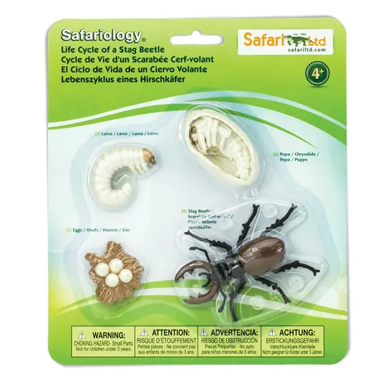 Safari Ltd Safari Ltd. | Der Lebenszyklus eines Hirschkäfers