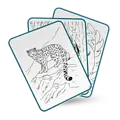Kidywolf Kidywolf | Kidydraw Pad Animals 8Y+