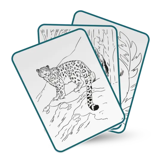 Kidywolf Kidywolf | Kidydraw Pad Animals 8 ans et plus