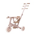 Little Dutch Little Dutch | Loopfiets/Driewieler 4 in 1 Fairy Flower Roze