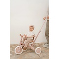 Little Dutch Little Dutch | Loopfiets/Driewieler 4 in 1 Fairy Flower Roze