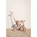 Little Dutch Little Dutch | Loopfiets/Driewieler 4 in 1 Fairy Flower Roze