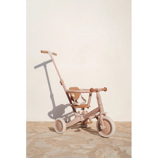 Little Dutch Little Dutch | Loopfiets/Driewieler 4 in 1 Fairy Flower Roze