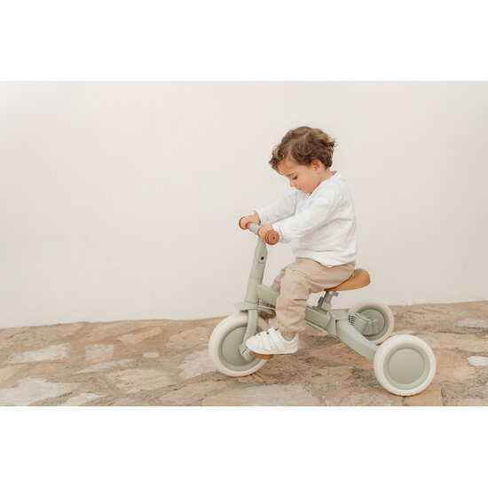 Little Dutch Little Dutch | Loopfiets/Driewieler Green Leaf Groen