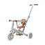 Little Dutch Little Dutch | Balance Bike/Trike Green Leaf Green
