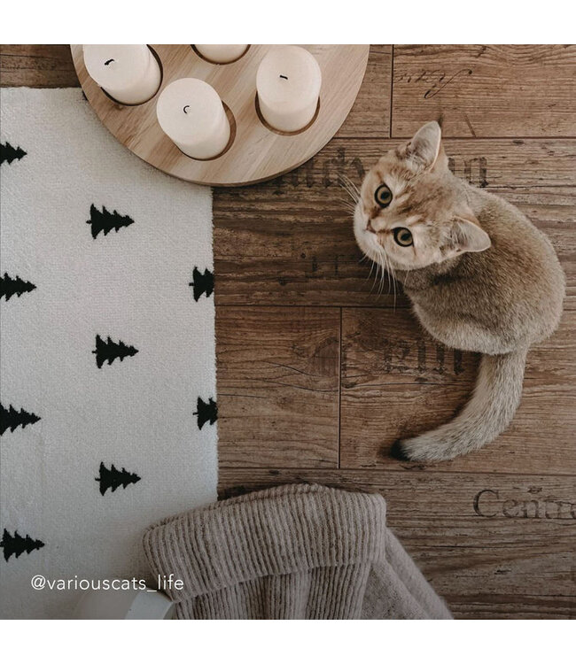 Eulenschnitt Waschbare Fussmatte Tannen