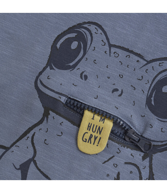 Minymo Pullover Frosch Biobaumwolle flint stone