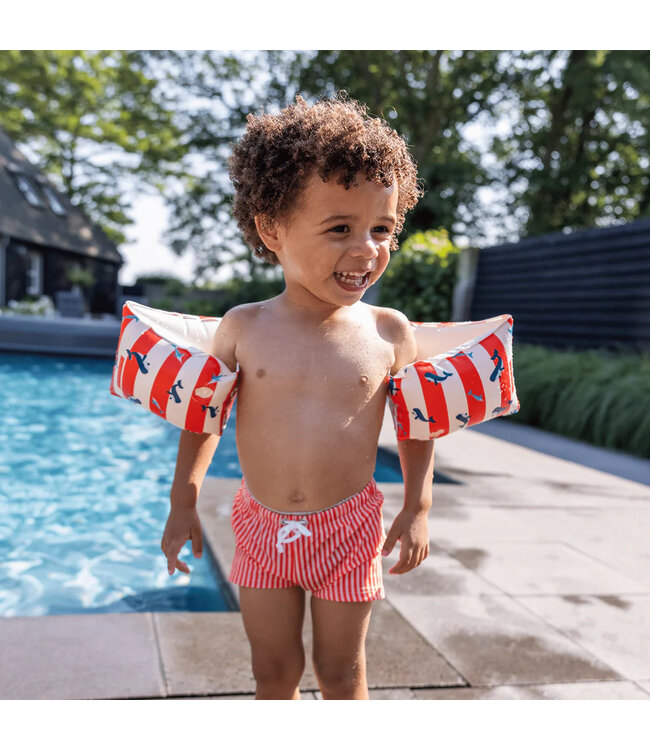 SWIM ESSENTIALS Schwimmflügel - gestreift Ozean -  0 – 2 Jahre