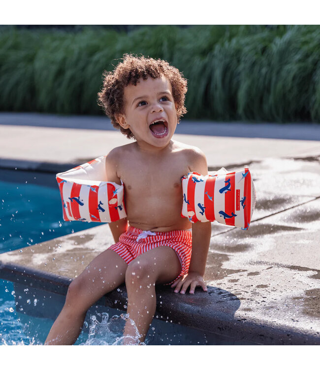 SWIM ESSENTIALS Schwimmflügel - gestreift Ozean -  2 – 6 Jahre