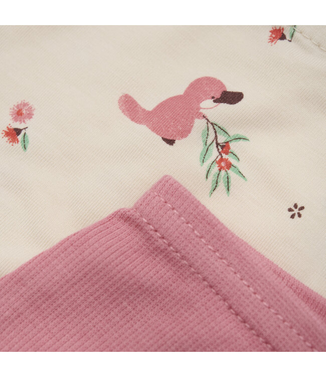 CeLaVi Hippster 2er Set - Unterhosen Bambusmix powder pink