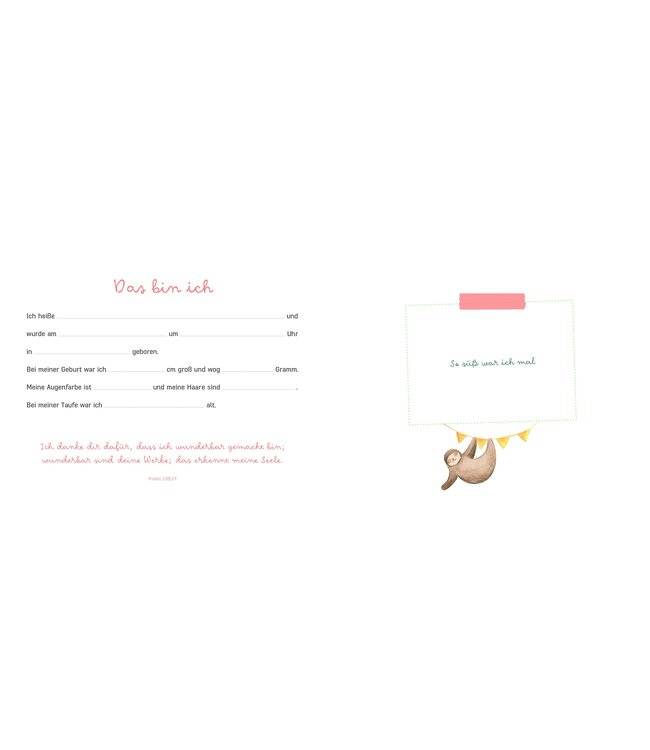 Verlag Brunnen Meine Taufe – Ein Erinnerungsalbum