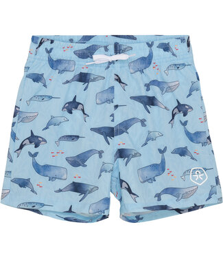 color kids Badeshorts Wale recycelt – summer song