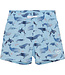 color kids Badeshorts Wale recycelt – summer song