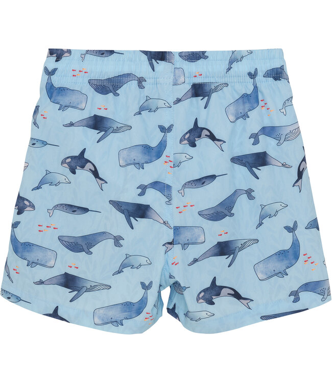 color kids Badeshorts Wale recycelt – summer song