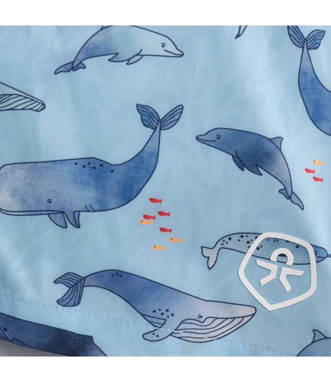 color kids Badeshorts Wale recycelt – summer song