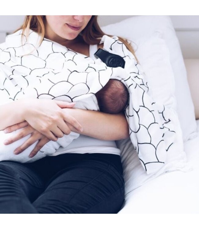 Cloby Magnetclips aus Leder Schwarz