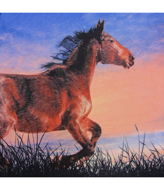 Enfant Terrible Shirt langarm Pferdedruck Biobaumwolle cobalt